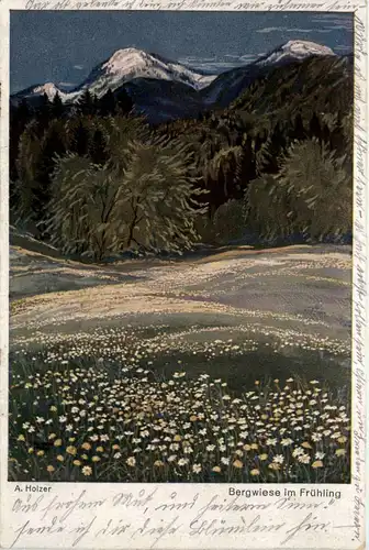 Künstlerkarte A. Holzer - Bergwiese im Frühling -96008