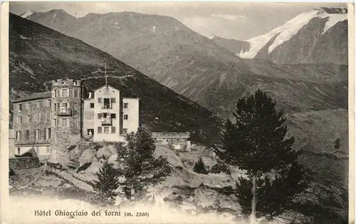 Hotel Ghiacciaio dei Forni -485546