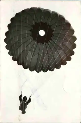 Armee Belge - Para-commandos -484338