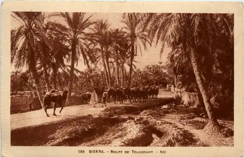 Biskra - Route de Touggourt -485318