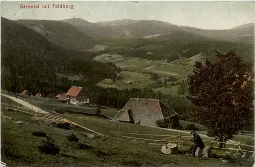 Bärental mit Feldberg -369076