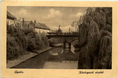 Gyula - Körösparti reszlet -463488