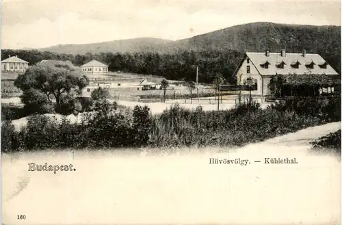 Budapest - Kühlethal -463768