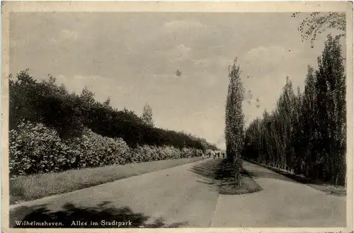 Wilhelmshaven - Allee im Stadtpark -488176