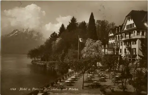 Hotel und Pension Hertenstein -489880