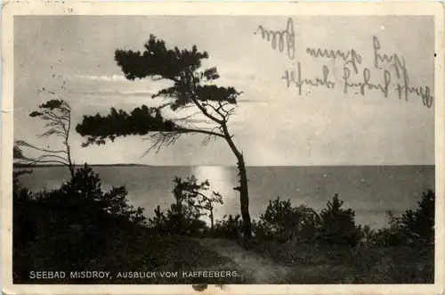 Ostseebad Misdroy - Ausblick vom Kaffeeberg -489332
