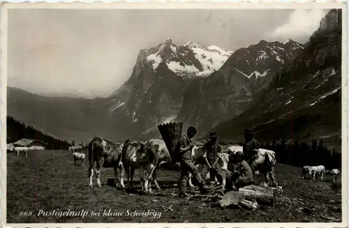 Pustigelnalp bei kleine Scheidegg -466202