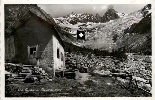 Pavillon du Glacier du Trient -489986