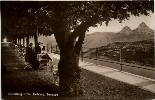 Seelisberg - Hotel Bellevue - Terrasse -490110