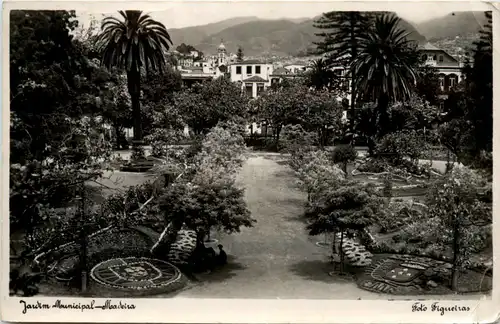 Madeira - Jardim Municipal -466460