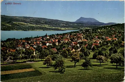 Beinwil -490250