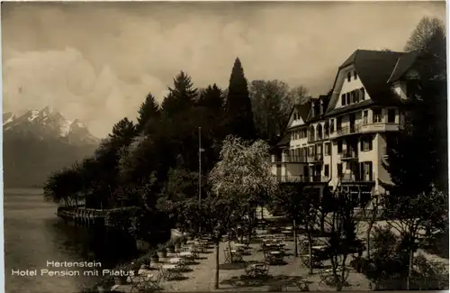 Hertenstein - Hotel Pension mit Pilatus -490126