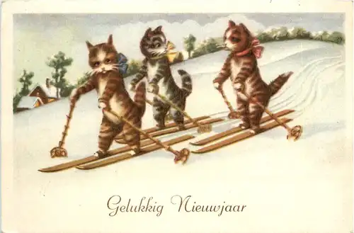 Neujahr - Katzen auf Ski -466638