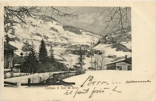 Chateau d Oex en hiver -489818