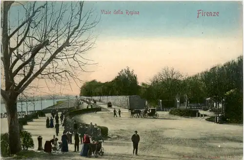 Firenze - Viale della Regina -100620