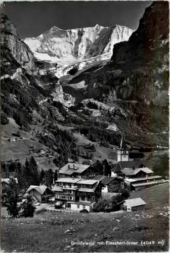 Grindelwald mit Fieschhörner -490212
