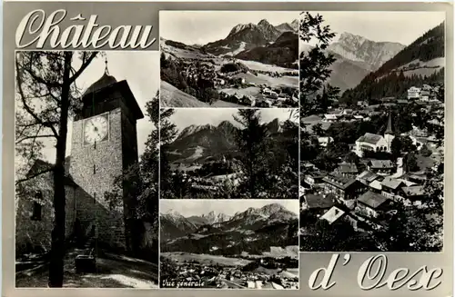 Chateau d Oex -491072