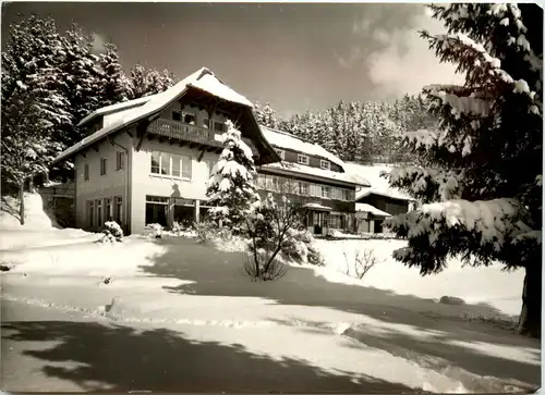 Todtmoss - Hotel Weidberghaus -491092