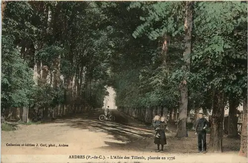 Ardres - L Allee des Tilleuls -468050