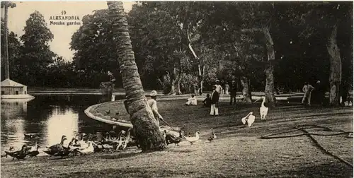 Alexandria - Nouzha arden -97922