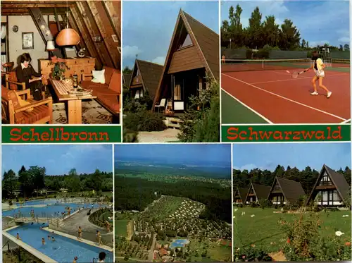 Schellbronn - Schwarzwald -493506