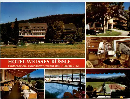 Hinterzarten - Hotel Weisses Rössle -493478