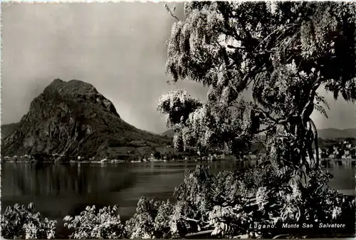 Lugano, Monte San Salvatore -391716