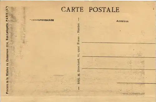 Cameroun - Pont de lianes -99196