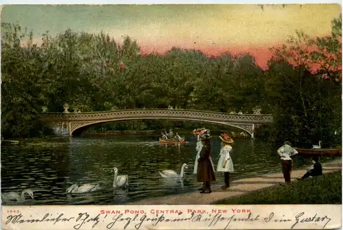 New York - Swan Pond - Central Park -470284