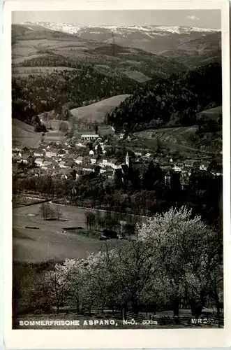 Sommerfrische Aspang -391830