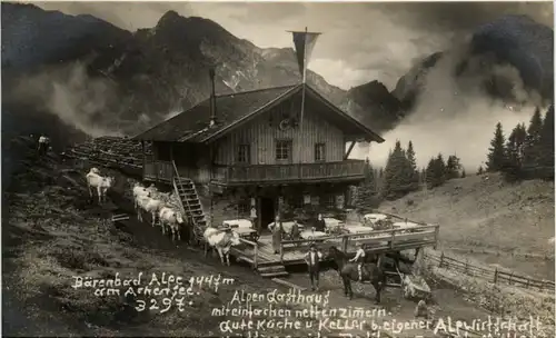 Bärenbad Alpe am Achensee -470924