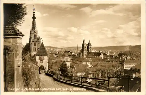 Esslingen am Neckar, Blick v.d. Neckarhalde auf Frauen-u. Stadtkirche -392430