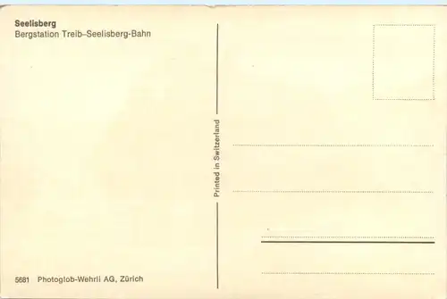 Seelisberg, Bergstation Treib-Seelisberg-Bahn -391772