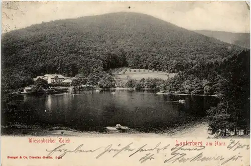 Lauterberg am Harz, Wiesenbeeker Teich -392428