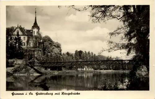 Grimma, Gattersburg mit Hängebrücke -371964