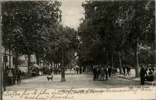 Montpellier, Esplanade -392230
