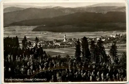 Waldmünchen -393858