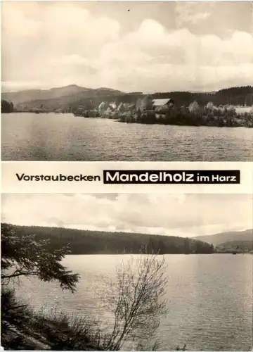 Vorstaubecken Mandelholz im Harz -394836