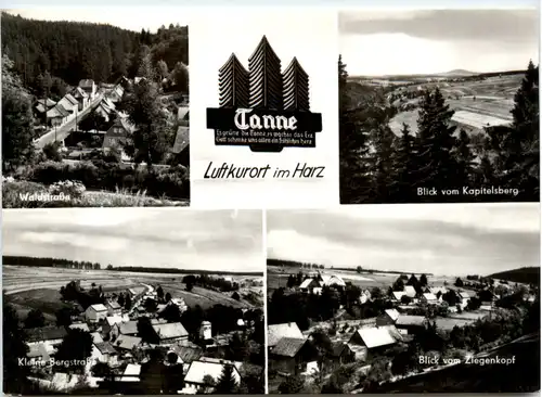 Tanne, Kurort im Harz, div. Bilder -394876