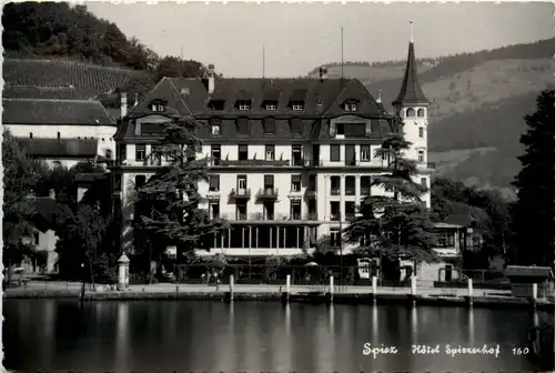 Spiez, Hotel Spiezerhof -393238