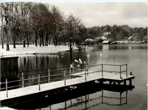 Feldberg Kr. Neustrelitz -394418