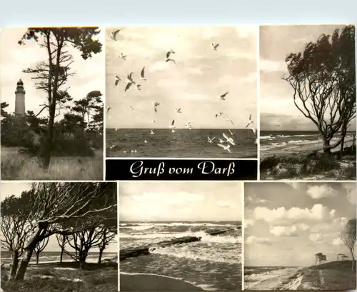 Gruss vom Darss, div. Bilder -394024