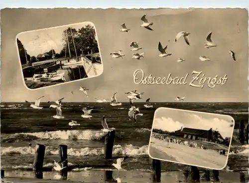 Seebad Zingst, div. Bilder -394086