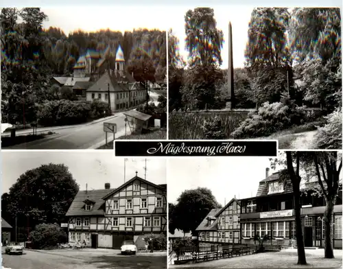 Mägdesprung Harz -394832