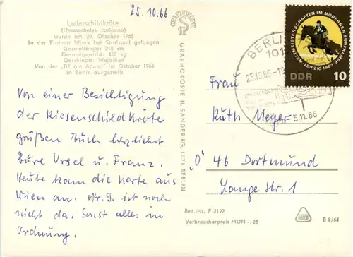 Berlin, Lederschildkröte -394802