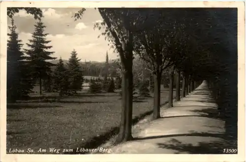 Löbau, Am Weg zum Löbauer Berg -394656