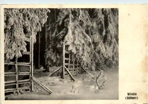 Wieda Südharz -395260