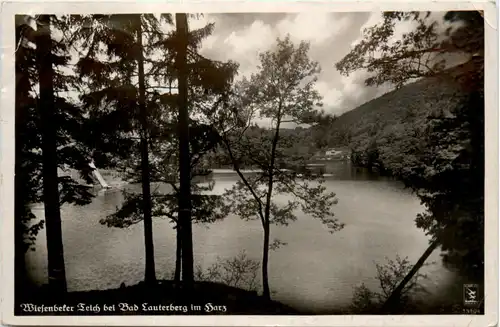 Wiessenbeker Teich bei Bad Lauterberg im Harz -395280