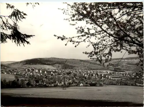 Lauter Erzgeb., Blick vom Sachsenstein nach Stadtmitte -395020