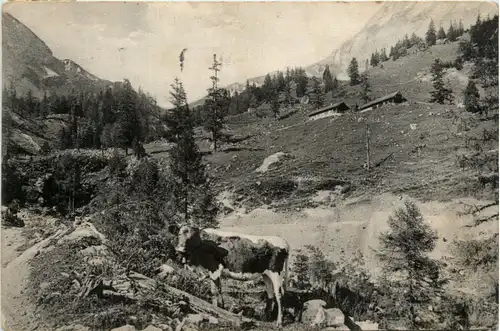 Bluntautal, Jagdhäuser g.d. Torrenerjoch -394988